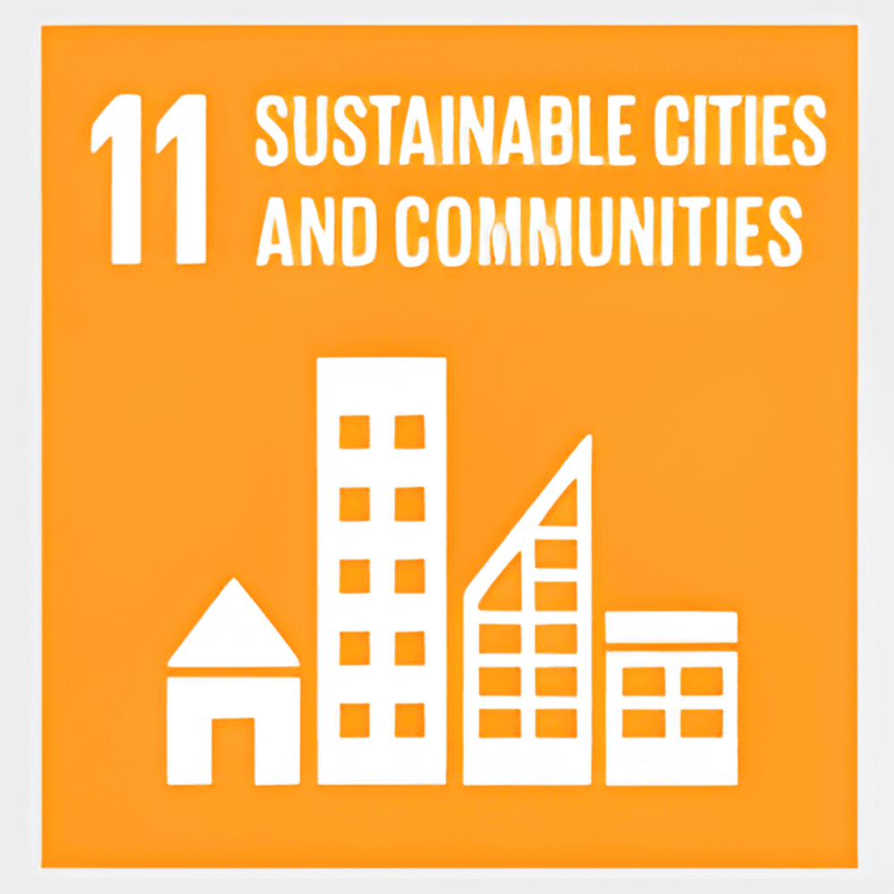 development goal 11