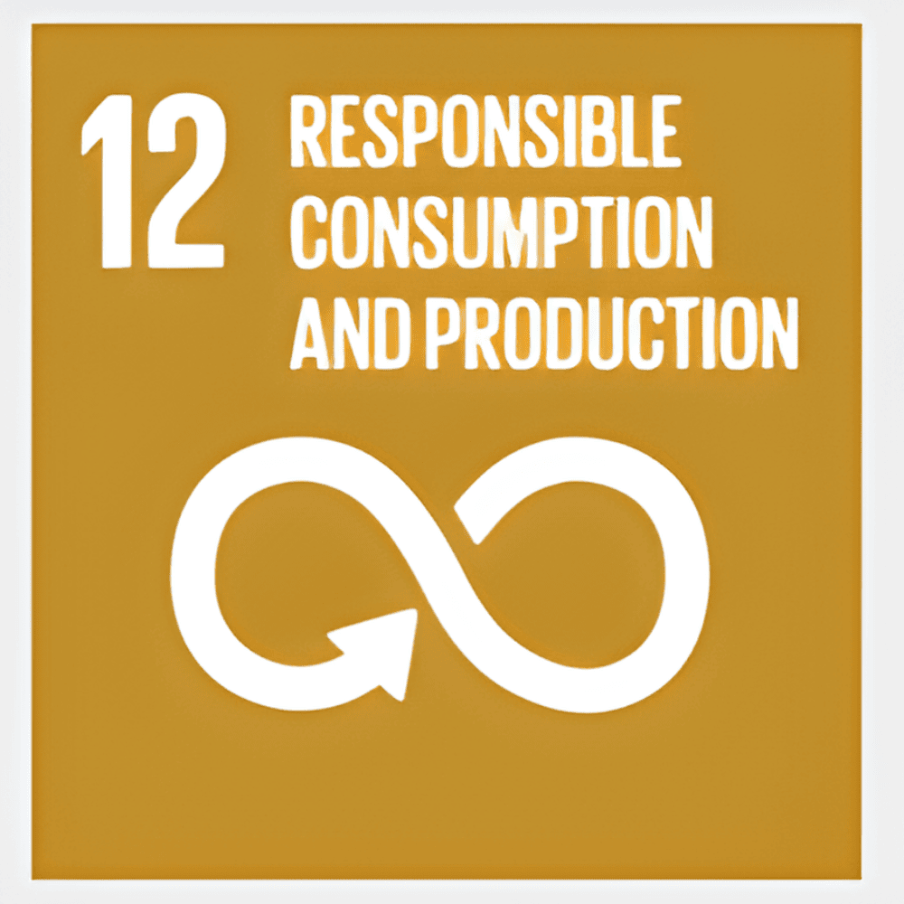 development goal 12