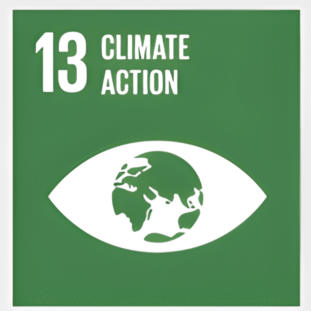 development goal 13