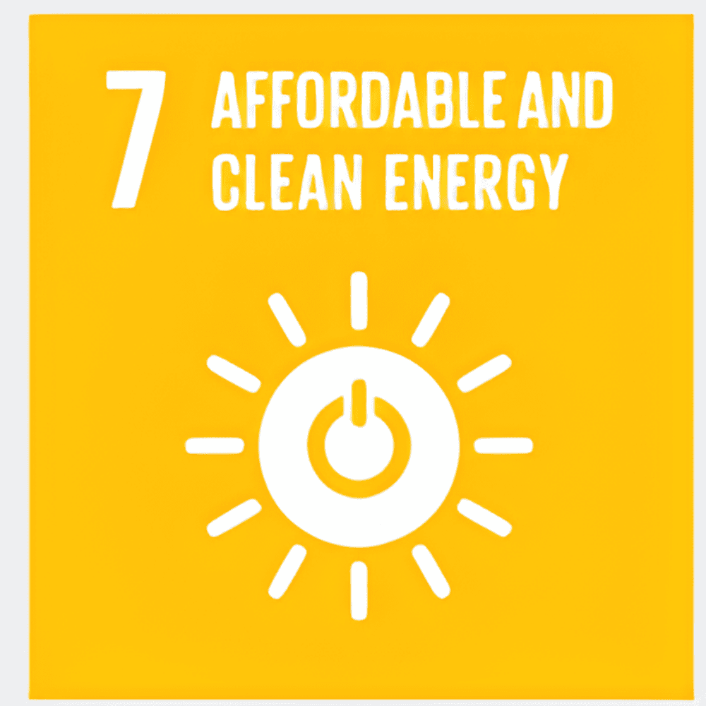 development goal 7